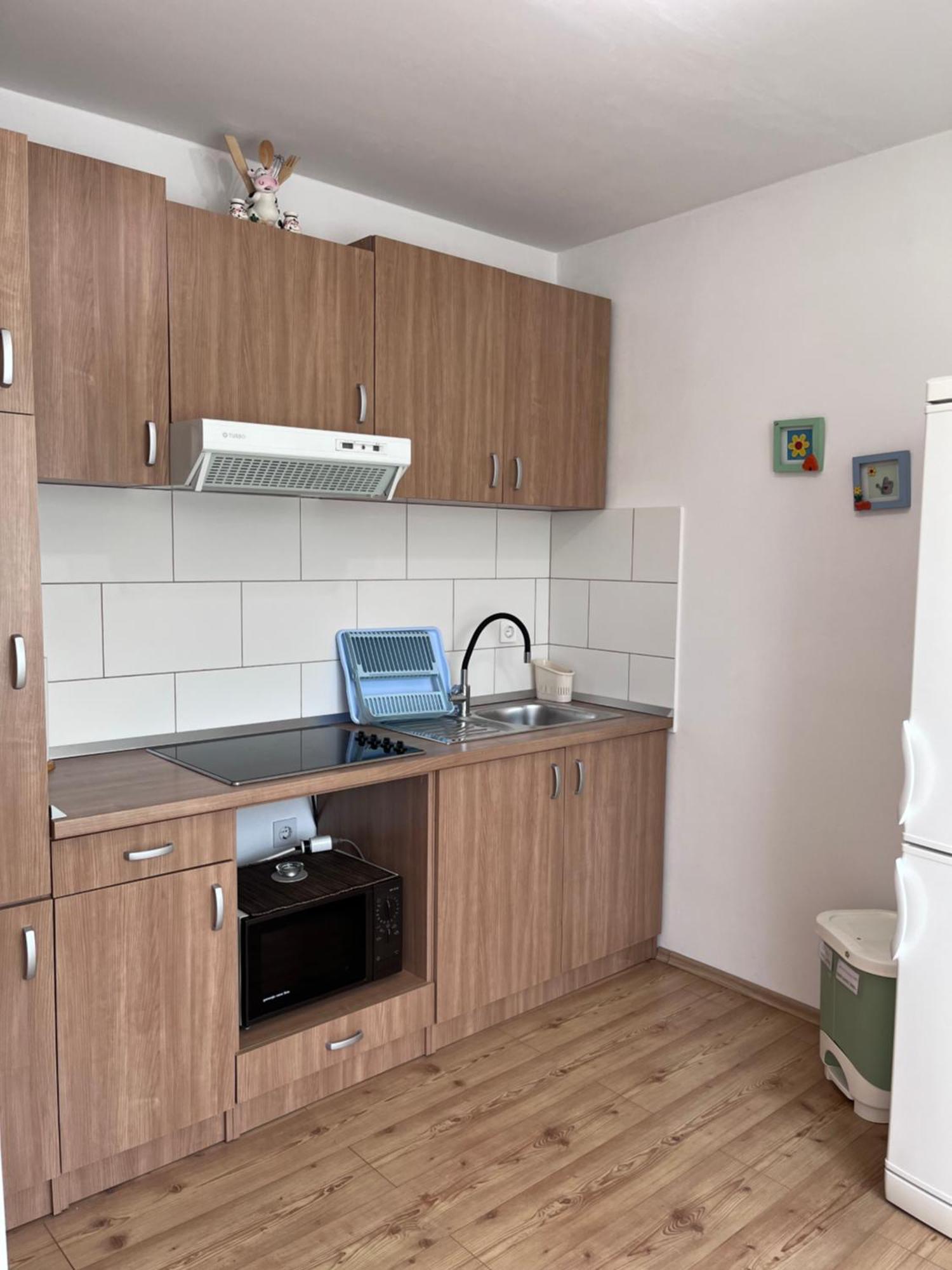 Apartment Vista Lupoglav エクステリア 写真